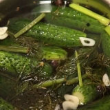 Recepti za lagano slane krastavce za zimu u teglama